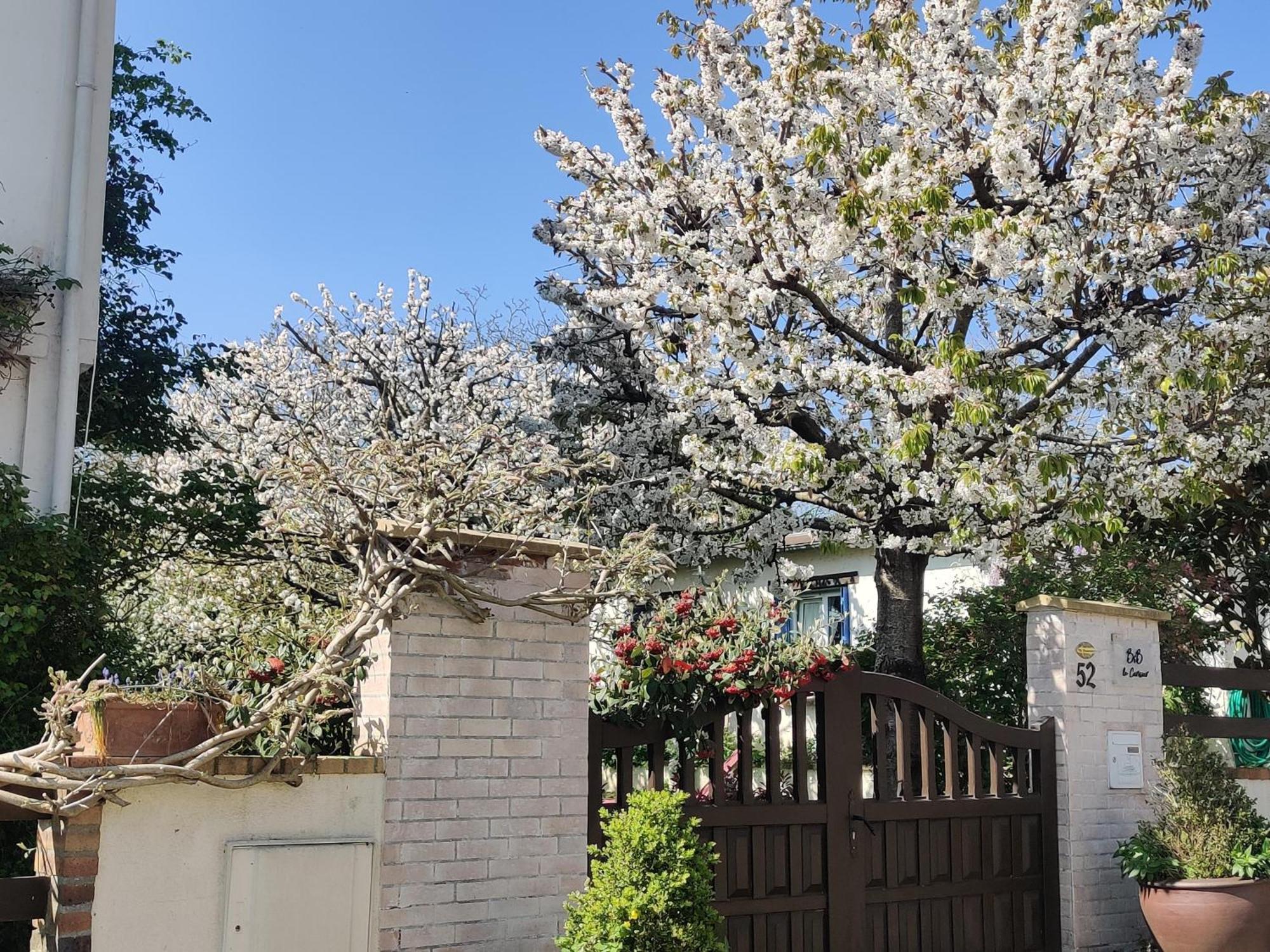 Mareil-Marly Le Cerisier Bed & Breakfast エクステリア 写真