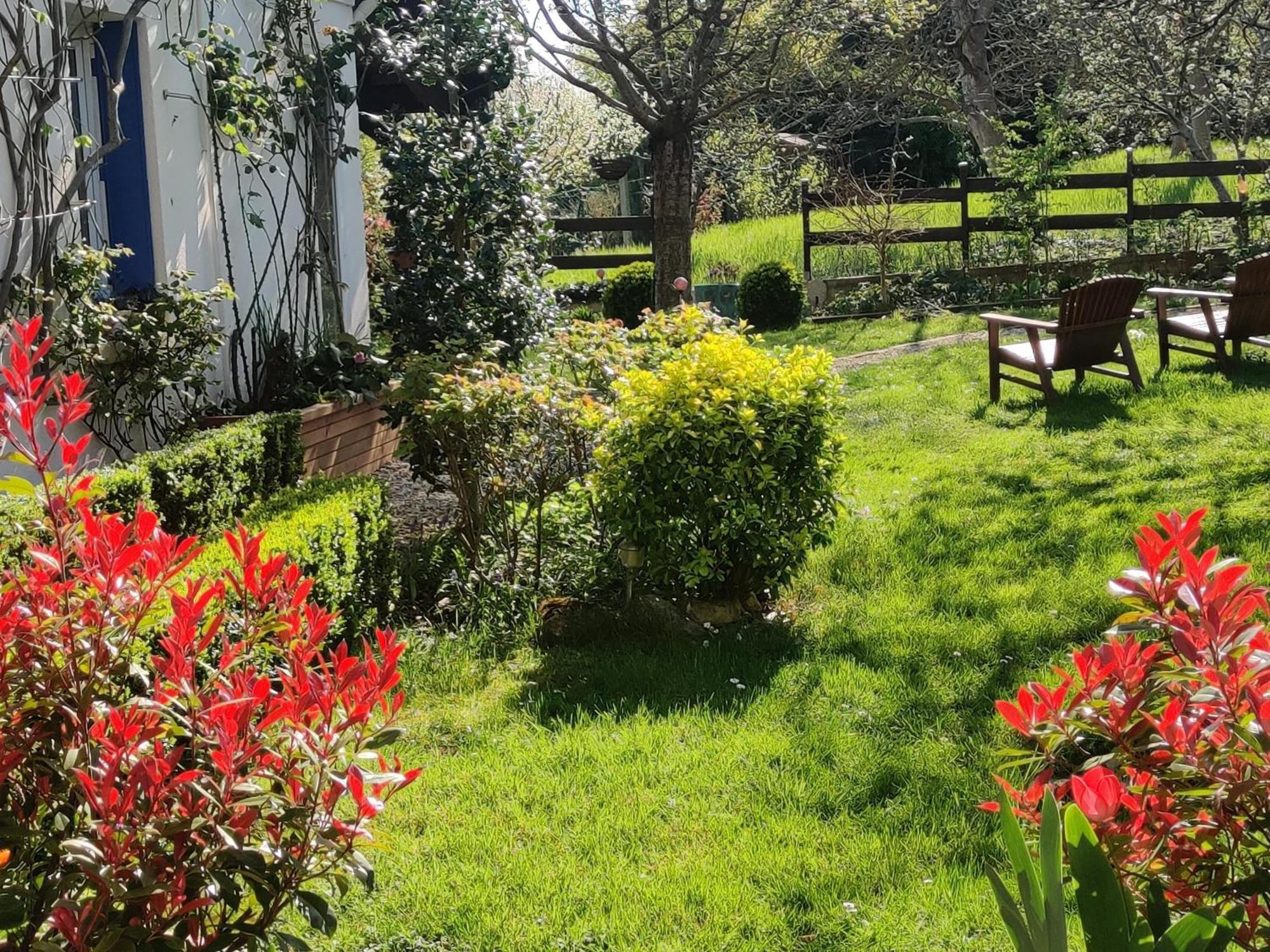 Mareil-Marly Le Cerisier Bed & Breakfast エクステリア 写真